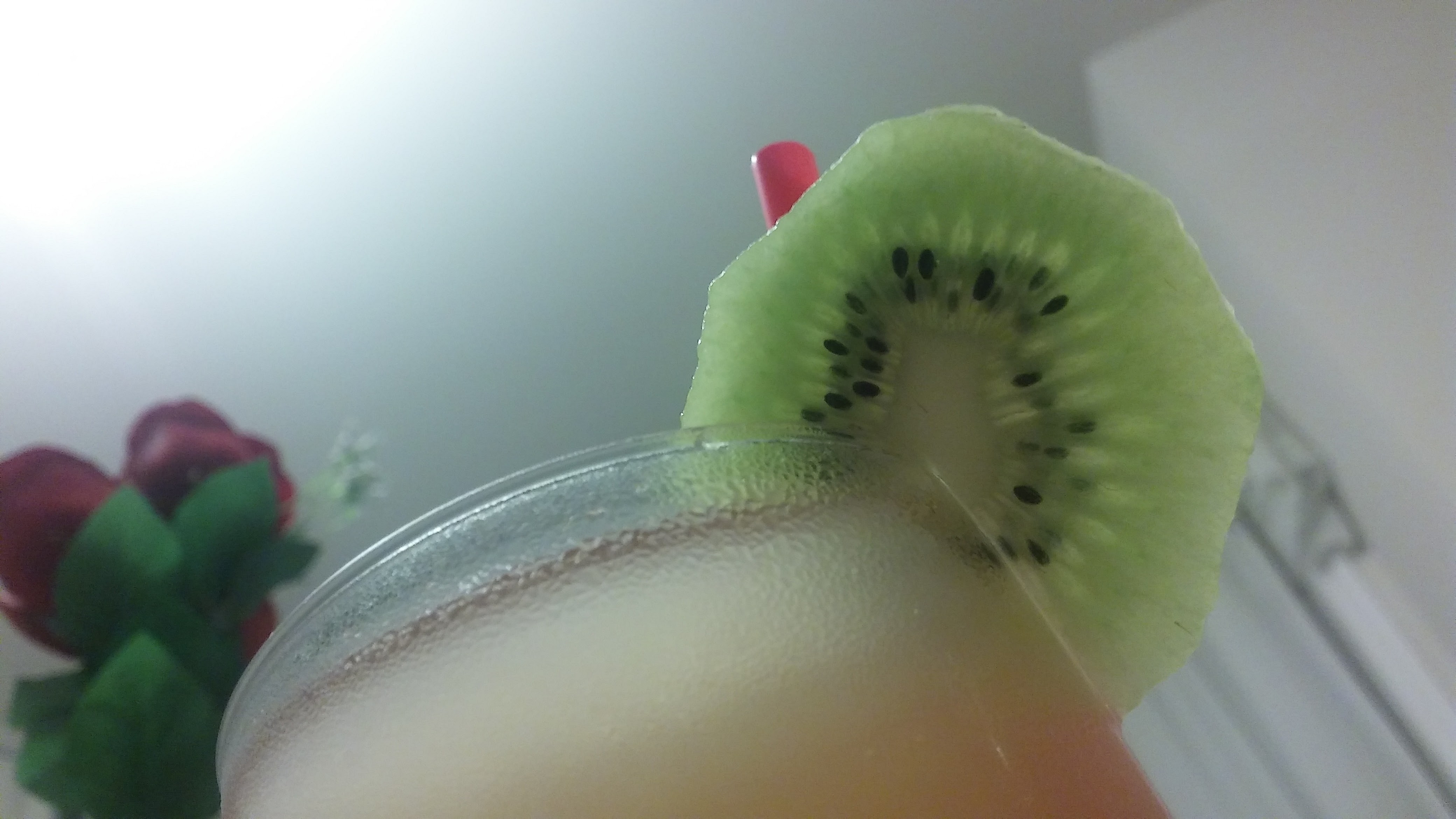 kiwi cup